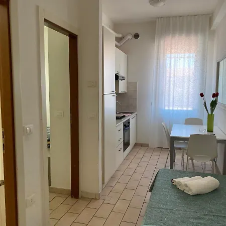 Anemone Rimini