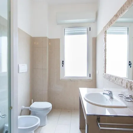 Anemone Ρίμινι