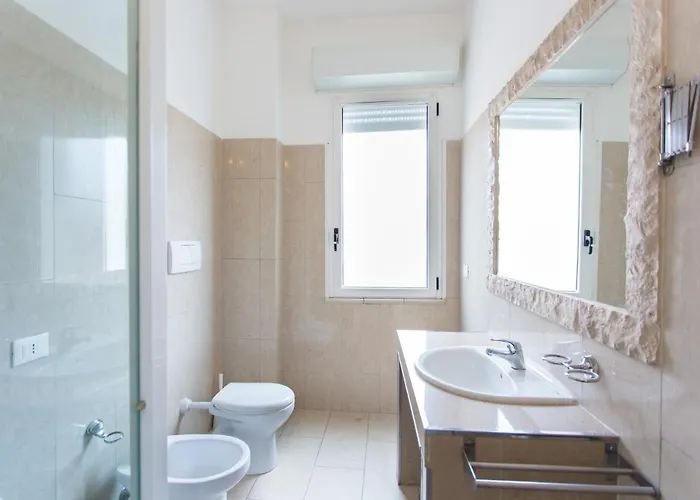 Anemone ريميني